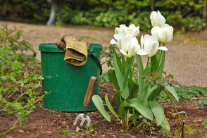 Best Yard and Garden Services Hamilton
