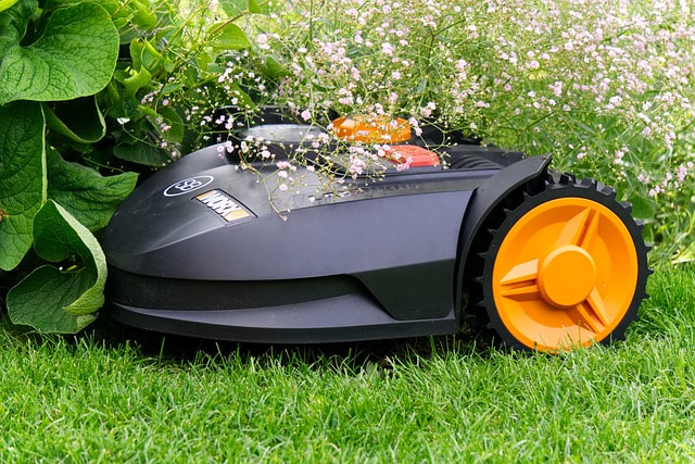 Hamilton's Top Lawn Care Services!