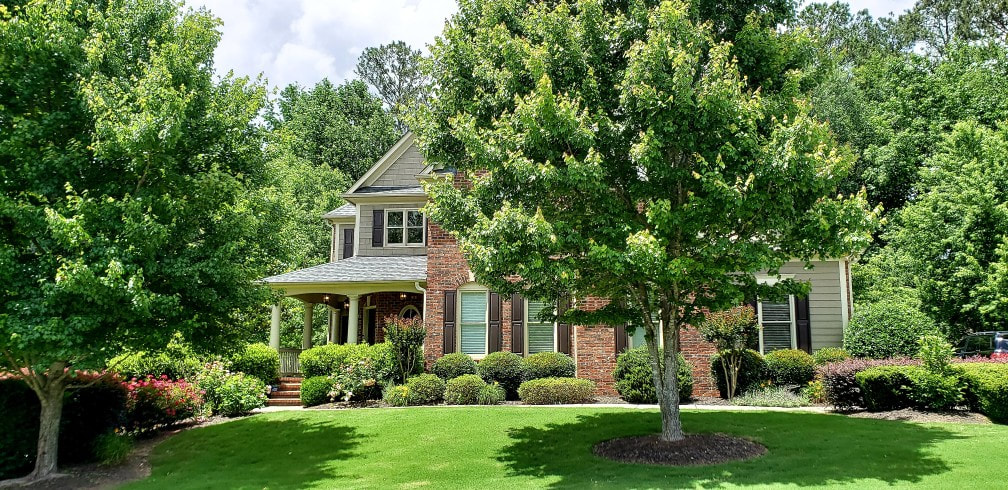 Hamilton's Best Landscaping Services