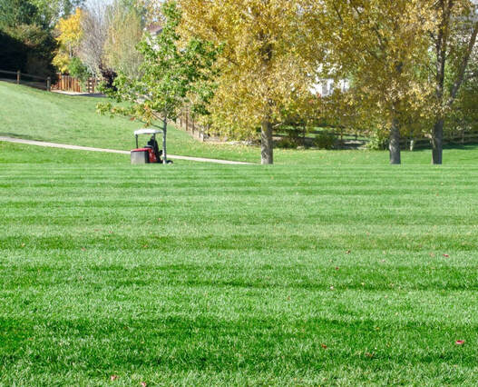 Commercial Lawn Care Hamilton Ontario